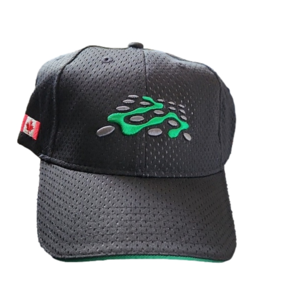 NWT Hat